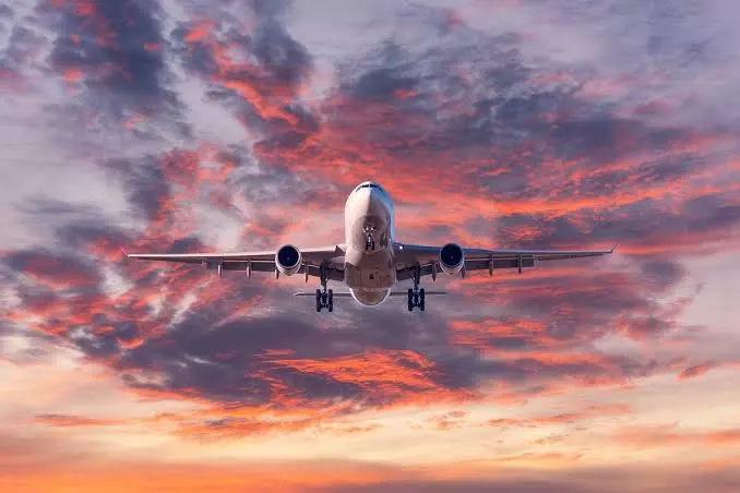 flight